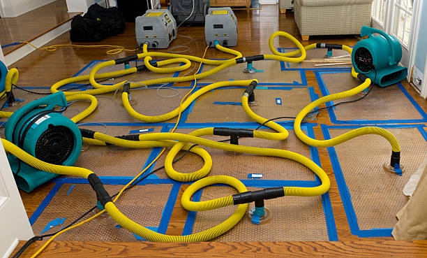 Professional Sewage Cleanup technician working in Bear River City, UT